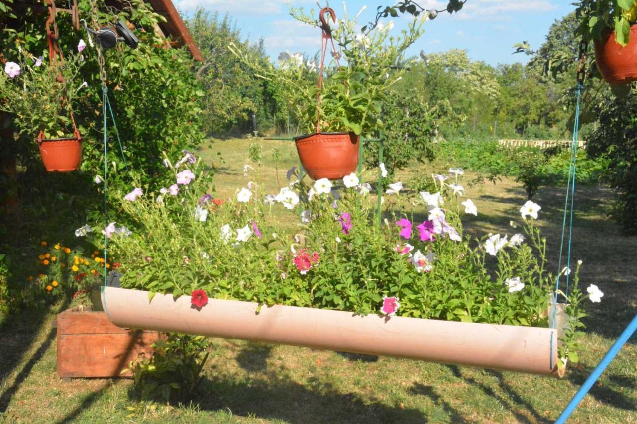 Gazdinstvo Tadic Niksic Exterior foto