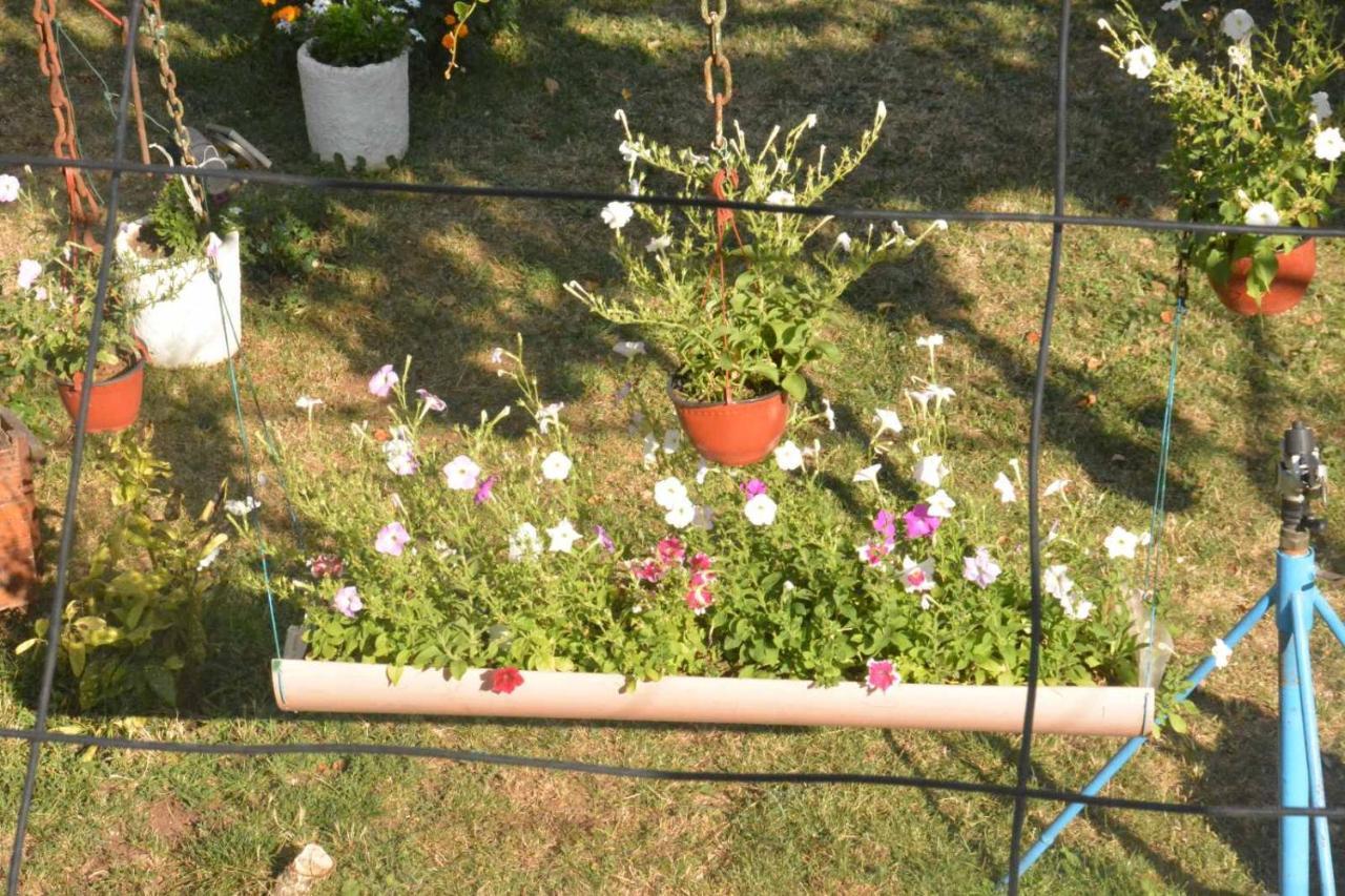 Gazdinstvo Tadic Niksic Exterior foto