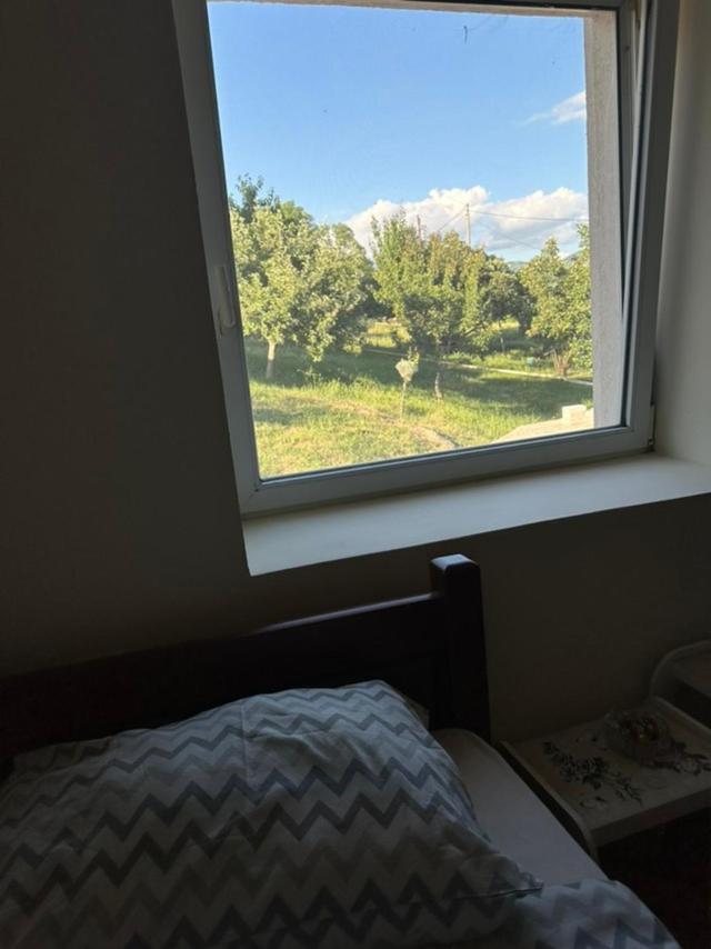 Gazdinstvo Tadic Niksic Exterior foto