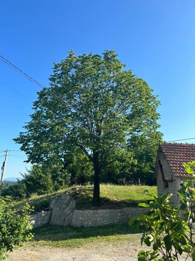 Gazdinstvo Tadic Niksic Exterior foto
